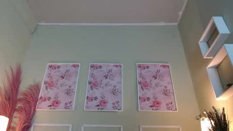 DANI online show from November 20, 12:05 pm