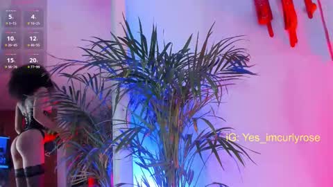 Rose online show from November 22, 10:20 pm