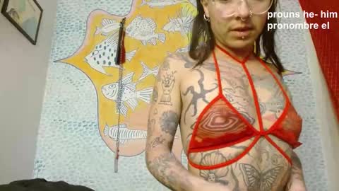 Curuba online show from December 25, 1:09 pm