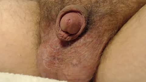 curve66 online show from November 17, 11:10 pm