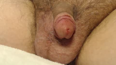 curve66 online show from January 10, 9:30 pm