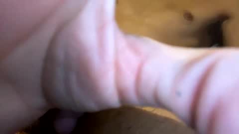 curvy24777 online show from January 19, 3:50 am