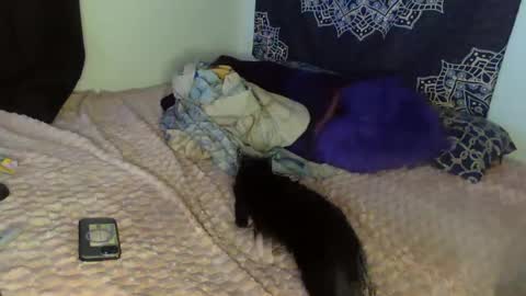 Snapshot of curvybcelinemixe chatting on February 8, 4:47 am Cline online show from February 8, 4:47 am