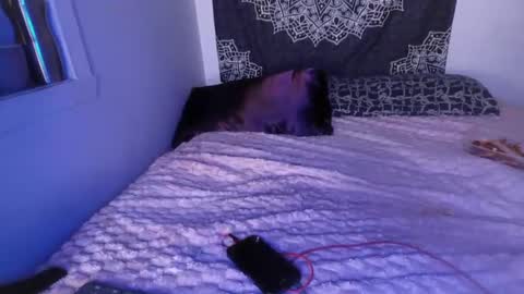 Snapshot of curvybcelinemixe chatting on March 2, 7:21 am Cline online show from March 2, 7:21 am