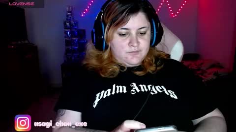 Snapshot of cuteusagi chatting on November 25, 7:47 pm Usagi online show from November 25, 7:47 pm