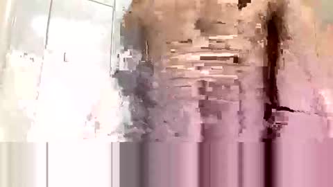 Snapshot of cvc2025 chatting on November 10, 12:20 am cvc2025 online show from November 10, 12:20 am