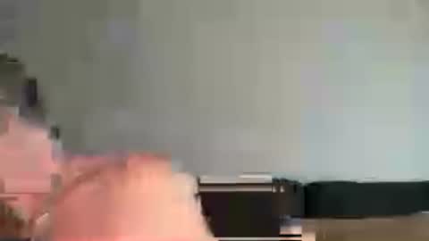 cwaddle online show from July 2, 11:38 am