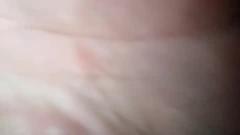 d702261 online show from November 7, 1:55 pm