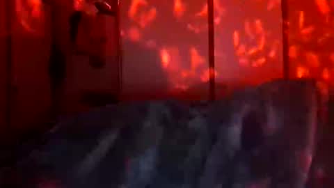 Daddett iS Wett online show from December 18, 9:48 am