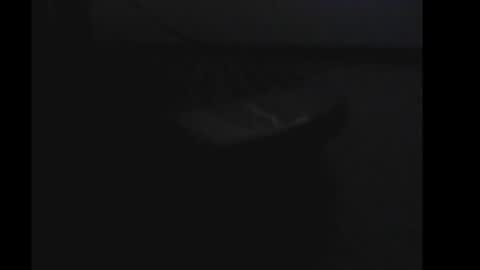 Snapshot of daddy4you60 chatting on January 1, 7:52 am daddy4you60 online show from January 1, 7:52 am