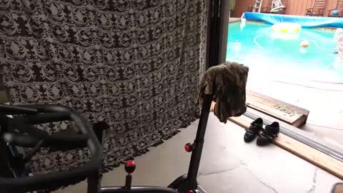 bas online show from September 27, 4:34 pm