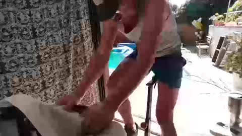 bas online show from October 10, 7:02 pm