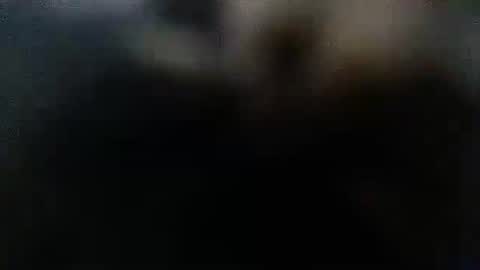 DDick online show from October 12, 1:59 am