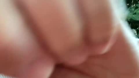 daddydick926 online show from September 11, 1:22 pm