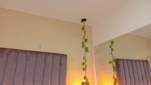 Dahlia online show from March 29, 8:47 am