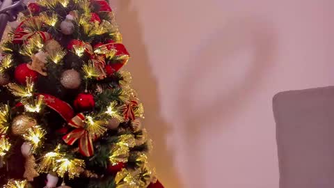 Snapshot of dahliabrowniee chatting on December 21, 10:06 am Dahli online show from December 21, 10:06 am