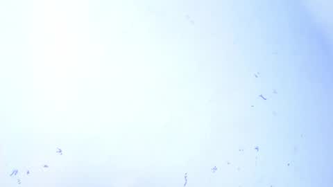 VALENTINA  online show from September 28, 7:47 am