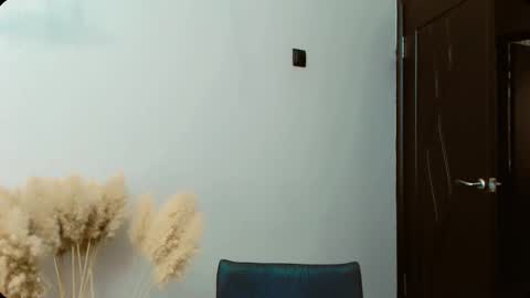 Dali online show from September 13, 5:40 am