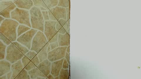         online show from February 8, 7:04 am