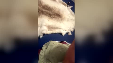 damontsi online show from March 22, 9:34 am