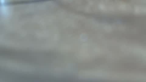 dancewhenyoucan9 online show from December 22, 10:51 pm