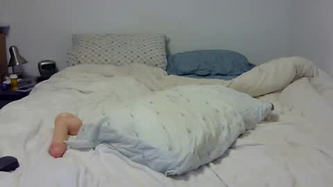 Snapshot of dandyhandys chatting on February 7, 2:19 am Andy online show from February 7, 2:19 am