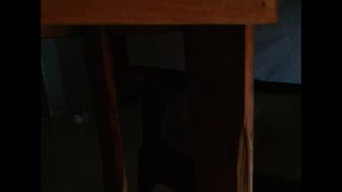 dangerhook online show from November 24, 11:32 am