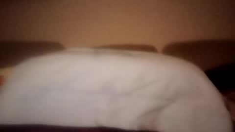 Dani225812 online show from September 18, 8:44 pm