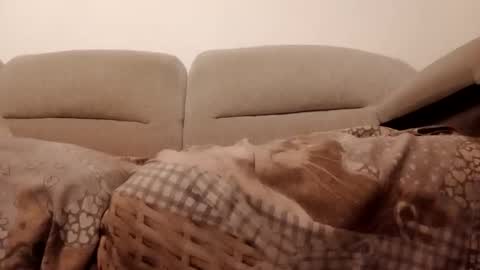 Dani225812 online show from November 15, 7:21 pm