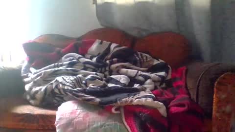 dani9821569006 online show from March 25, 5:08 pm