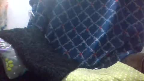 dani9821569006 online show from March 29, 8:03 am