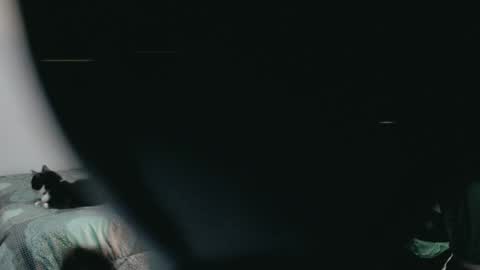 Snapshot of dani_jocelyn chatting on March 2, 11:53 pm dani y jocelyn online show from March 2, 11:53 pm