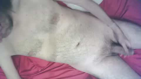 Snapshot of daniel12123611503 chatting on November 28, 2:03 am daniel12123611503 online show from November 28, 2:03 am