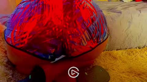 dandeb online show from January 26, 8:45 pm