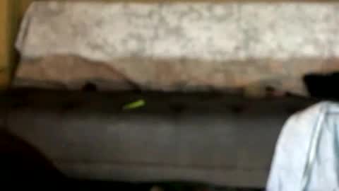 dandeb online show from October 12, 1:04 am