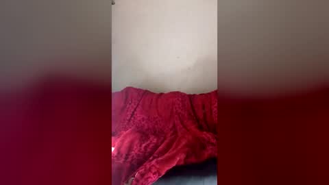 Snapshot of dankshepp chatting on June 16, 12:52 pm dandeb online show from June 16, 12:52 pm