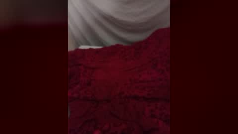 Snapshot of dankshepp chatting on July 1, 11:04 pm dandeb online show from July 1, 11:04 pm