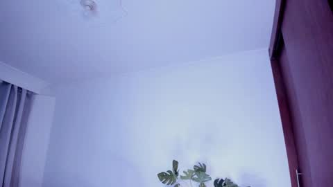 Snapshot of danna_stewart chatting on December 30, 2:42 am Paulina online show from December 30, 2:42 am