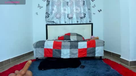Snapshot of dannii_stevens chatting on October 13, 12:27 pm silvana online show from October 13, 12:27 pm
