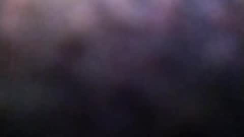 dannowisc online show from February 23, 2:20 am