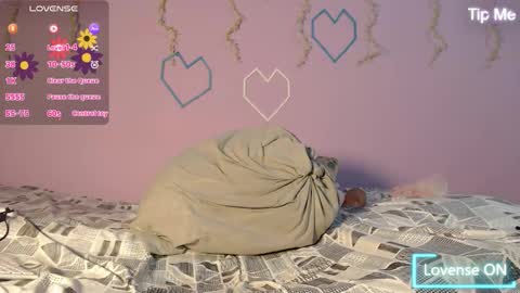 dante_bear online show from February 13, 11:17 am