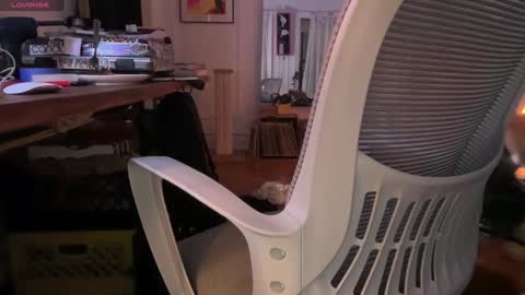 Dante online show from February 7, 5:10 am