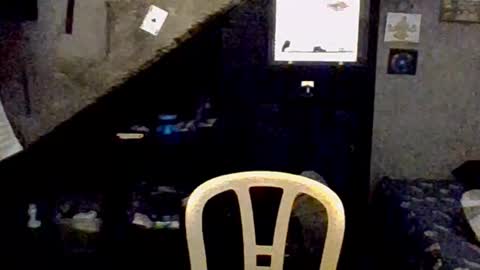 dany_kyng online show from February 3, 2:53 am