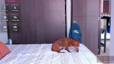 Snapshot of danyfitguy_ chatting on November 9, 5:11 pm danyfitguy_ online show from November 9, 5:11 pm