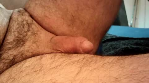 dapppper online show from January 25, 2:47 am