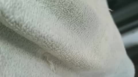 dapppper online show from March 4, 2:56 pm