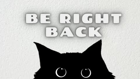 darienlarge online show from January 10, 9:33 am