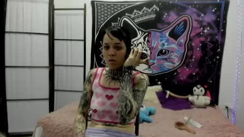 daryimiau online show from April 11, 11:09 pm