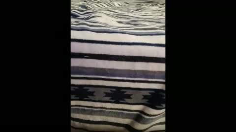 Snapshot of dat_guy8806 chatting on January 5, 11:52 pm dat_guy8806 online show from January 5, 11:52 pm