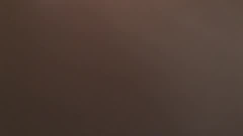 davdao3 online show from September 11, 7:08 am